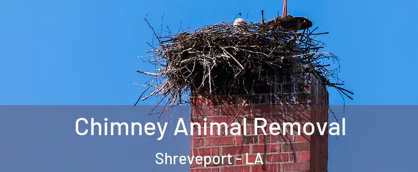  Chimney Animal Removal Shreveport - LA