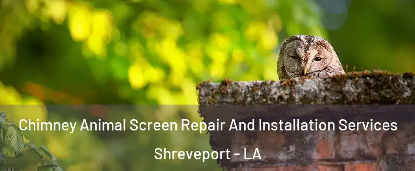  Chimney Animal Screen Repair And Installation Services Shreveport - LA