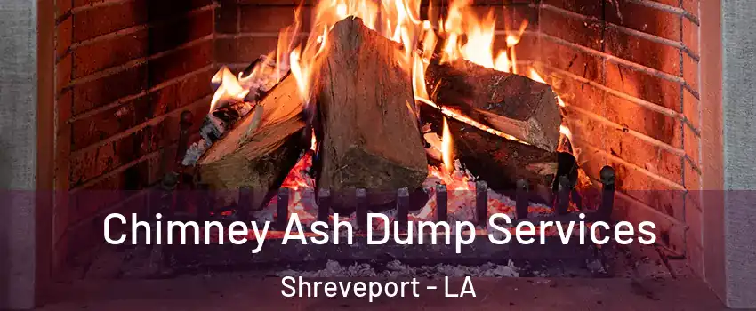  Chimney Ash Dump Services Shreveport - LA