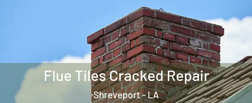  Flue Tiles Cracked Repair Shreveport - LA