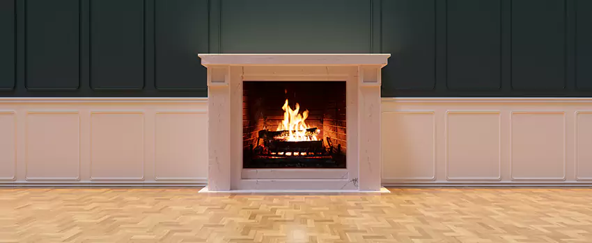 Napoleon Electric Fireplaces Inspection Service in Shreveport, Louisiana