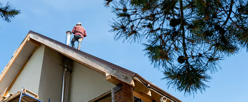 Birds Removal Contractors from Chimney in Shreveport, LA