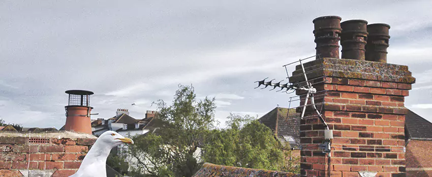 Chimney Cleaning And Restoration in Shreveport, Louisiana