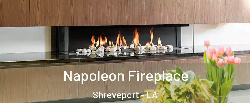  Napoleon Fireplace Shreveport - LA